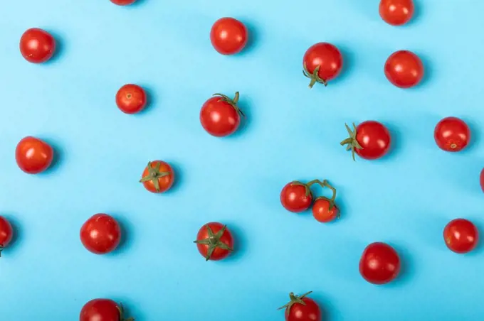 Directly above view of fresh red tomatoes scattered over blue background. unaltered, organic food and healthy eating concept.