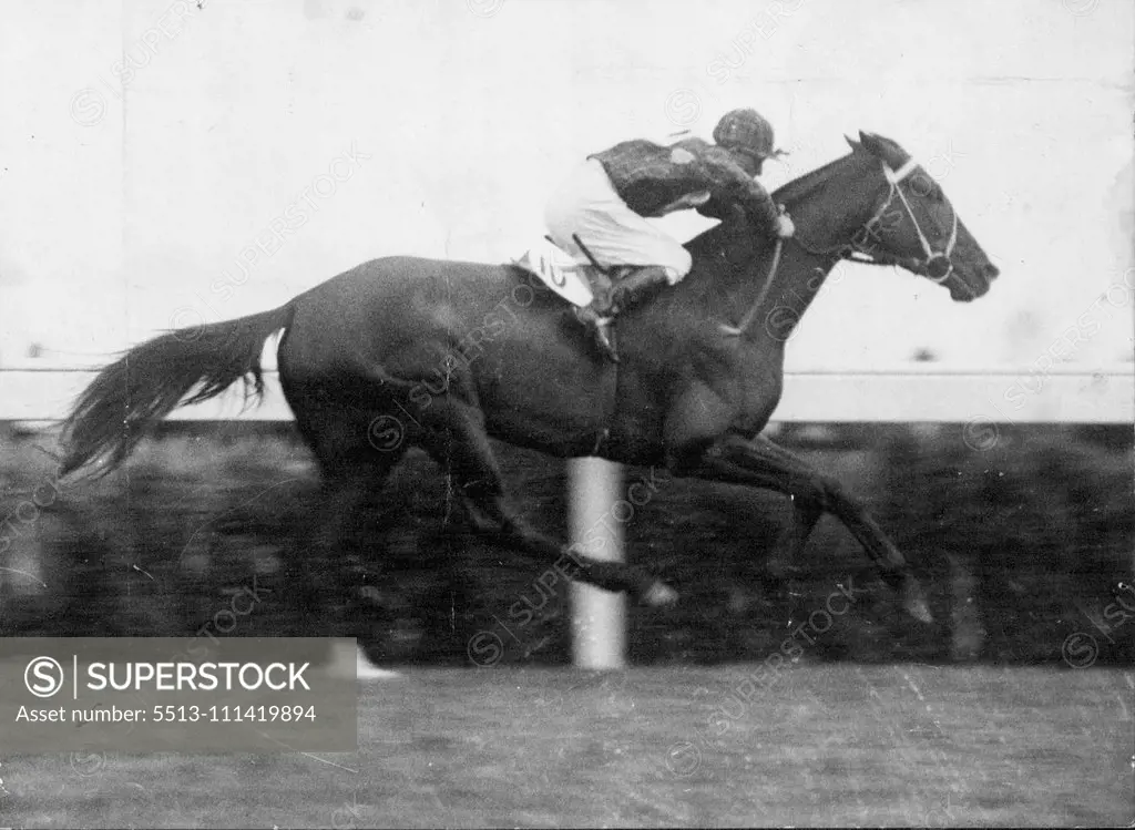 White Nose, one of the only two Cup runners that the critics give a ***** creating an upset in prospects. November 12, 1931.