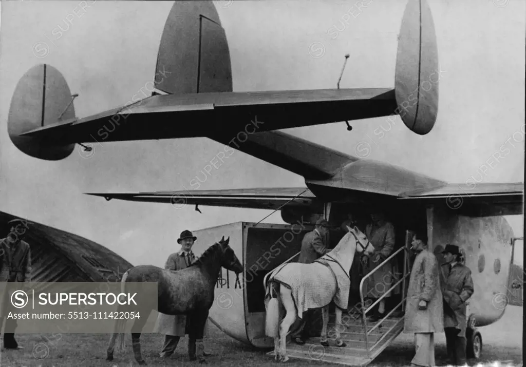 Many horses in England now travel by air in a Miles Aerovan, converted for the purposes. Here two ponies enter the Aerovan. October 7, 1946.