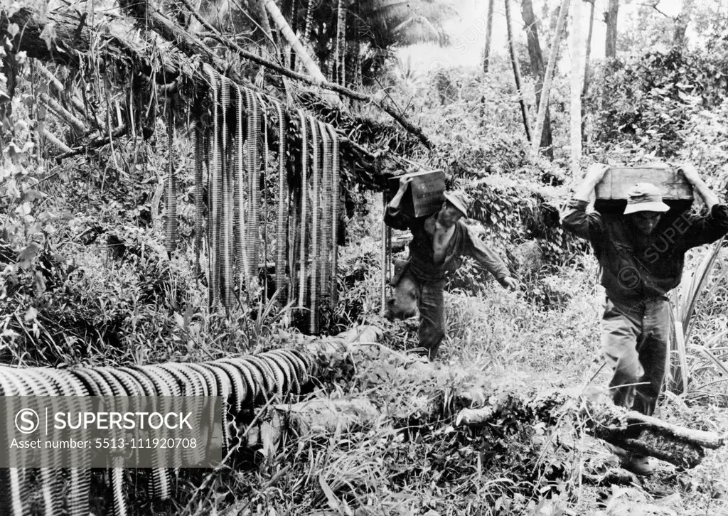 Belts of ammunition hang from tropical trees as American soldiers carry cases of cartridges up to the front lines in -New Guinea for the offensive which wrested the Buna area 4 from the Japanese. February 28, 1943. (Photo by U.S. Office of War Information Picture).