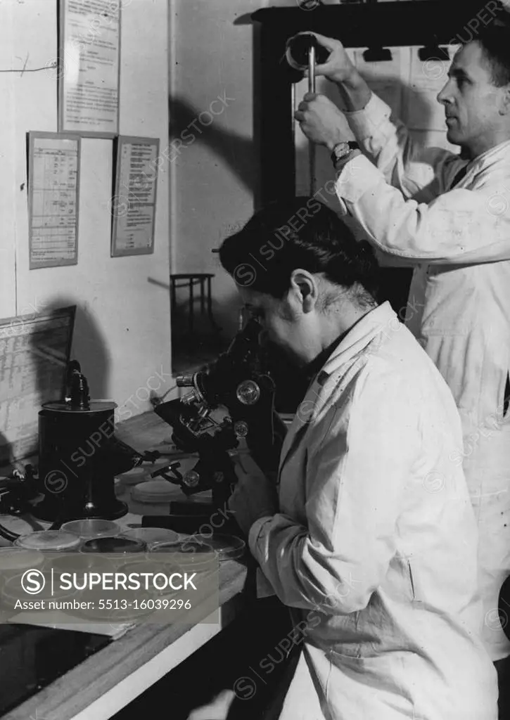 England's Leading Fever Hospital -- A visit to the LCC North-Eastern Hospital. A corner of the main Bacteriological Laboratory. September 21, 1951. (Photo by Pictorial Press ).