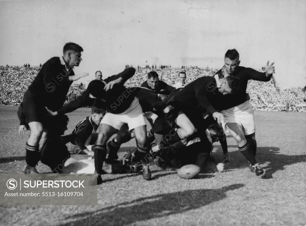 All Blacks in Durban - Wilcox, New Zealand forward, barges his way through a loose scrum during the Match between the all Blacks and the South African Springboks in Durban September 3. Springboks won by 9 points to 3. September 20, 1949. (Photo by Associated Press Photo).