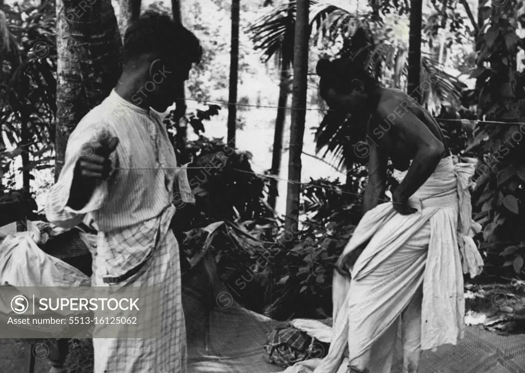 Make Up Of A Temple Dancer: It's no use trying to hurry things when you're a temple dancer. Yakdessa cultivates patience while he arranges his ceremonial skirt with the help of his brother. In spite of the careful routine they have worked out, the whole operation takes nearly one hour. January 11, 1949. (Photo by Pictorial Press).