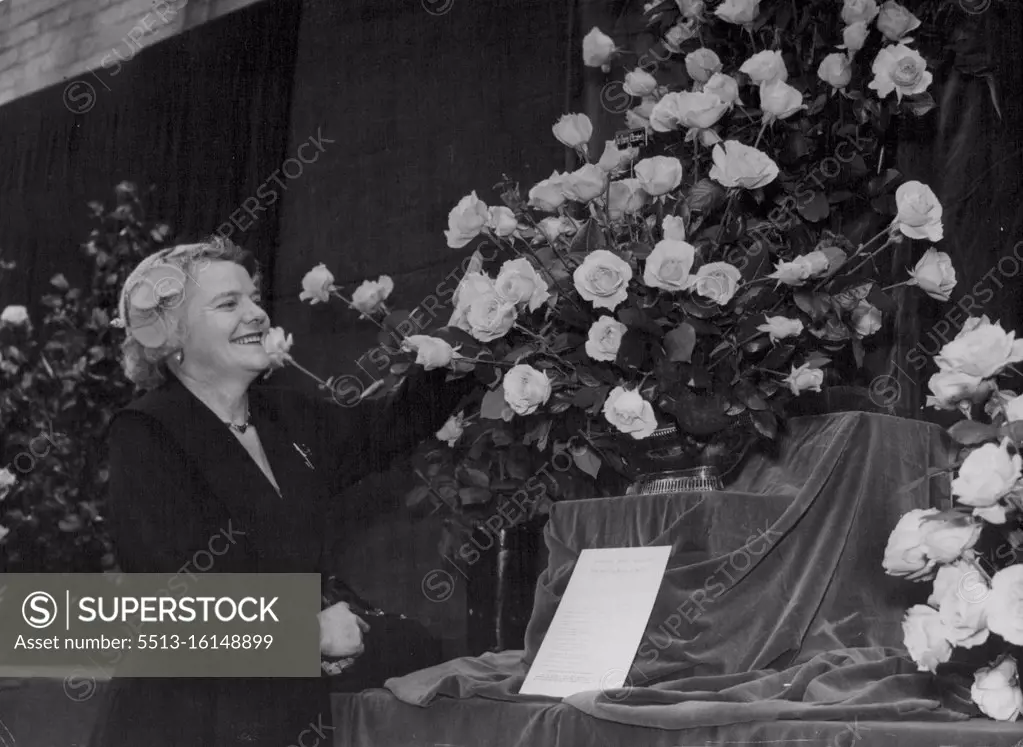 Australian Rose Gower At London Rose Show. Mrs. Vera Smith of Melbourne, Australia, visiting the National Rose Society's show at the Royal Horticultural Hall, Westminster today, Admires "Queen Elizabeth" roses grown by that famous English Rose Grower, Mr. Harry Wheatcroft... Mrs. Smith is in the rose growing business in Melbourne. July 1, 1955. (Photo by Paul Popper Ltd.).