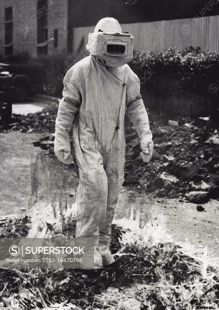 A fireman clad in a suit of asbestos, walking through flames during a Fire Brigade demonstration in Brisbane. October 23, 1942.