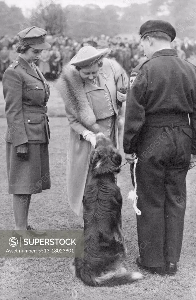 King Thanks Civil Defense Forces -- Her Majesty petting "Peter", a collie member of the famous dog rescue squad which Figured in V-Bomb Incidents, during the parade, watched by Princess Elizabeth. The King, Accompanied by the Queen and Princess Elizabeth, attended a farewell parade of Civil Defence and Allied services in Hyde park today June 10. Representatives contingents from all parts of great Britain and Northern Ireland took part. July 02, 1945. (Photo by Associated Press Photo).