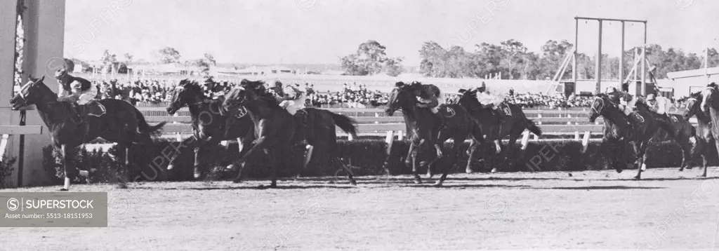 Finish - San Domenico running June handicap, 5th race at Eagle Farm course. June 14, 1949.