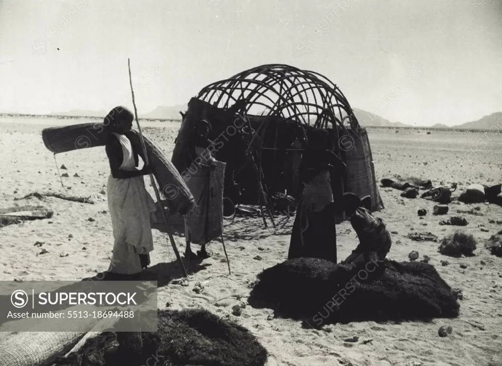 They Carry Their Home With Them -- Somali women, after a two day's trek from the mountains to sell camels milk in Berbera market, erect their Gurgi (native hut) on the beach. April 13, 1936. (Photo by Daily Mirror).