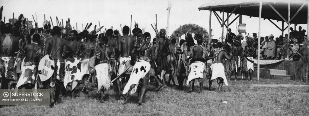 Zulus Dance Before King -- On right of photo, screened from the sun by the thatched dais, the royal family, March 19, match Zulus in tribal gars performing their ceremonial war dance at Eshowe, Zululand. Brandishing spears, axes and Knobkerries, and incited by a chorus of Zulu woman, they advanced to the edge of the dais. April 01, 1947. (Photo by Associated Press Photo).