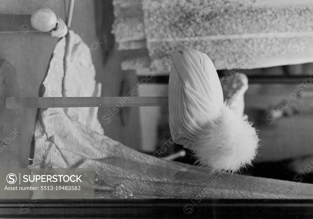 Exhibition Of Queen Mary's Art Treasures At The Victoria And Albert Museum A large case containing four hats, some parasols and dresses worn by Queen Mary. May 25, 1954. (Photo by Daily Mail Contract Picture).