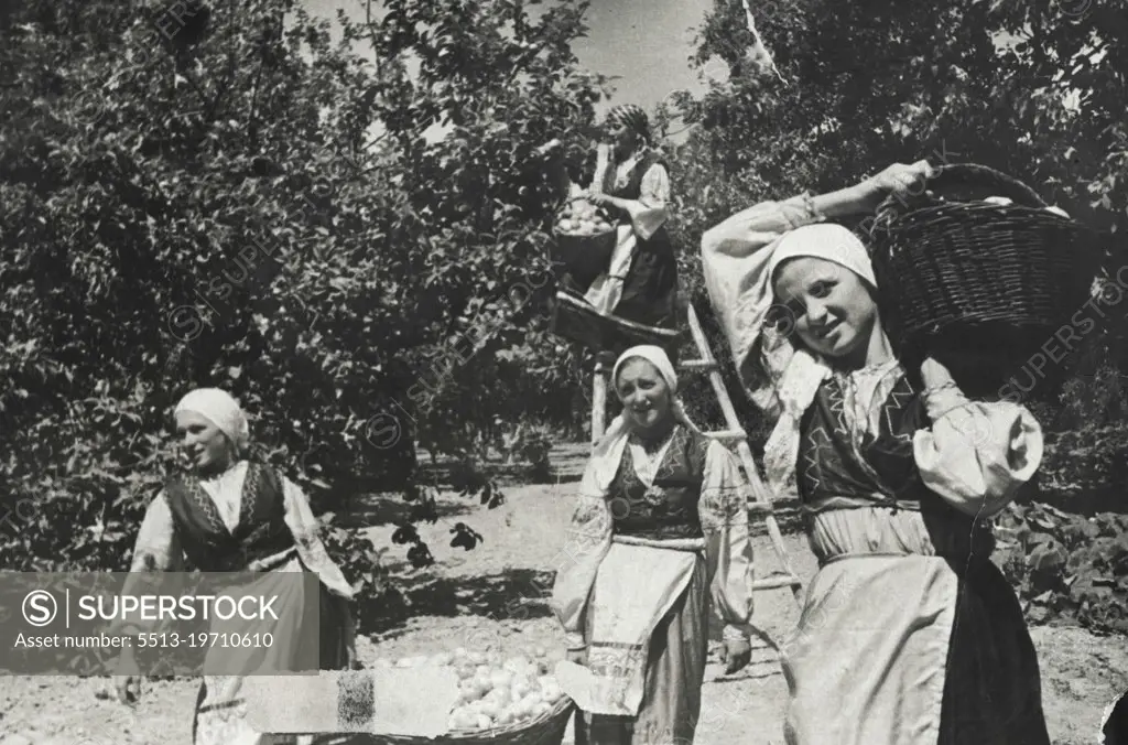 Gathering fruits in the Moldavian National Collective Farm "The Red Border Guard" (Moldavian ASSR). Collective farms of the flourishing Moldavia, enjoy an abundant fruit crop.Young Russian collective farmer in Kazakhstan. July 27, 1940.