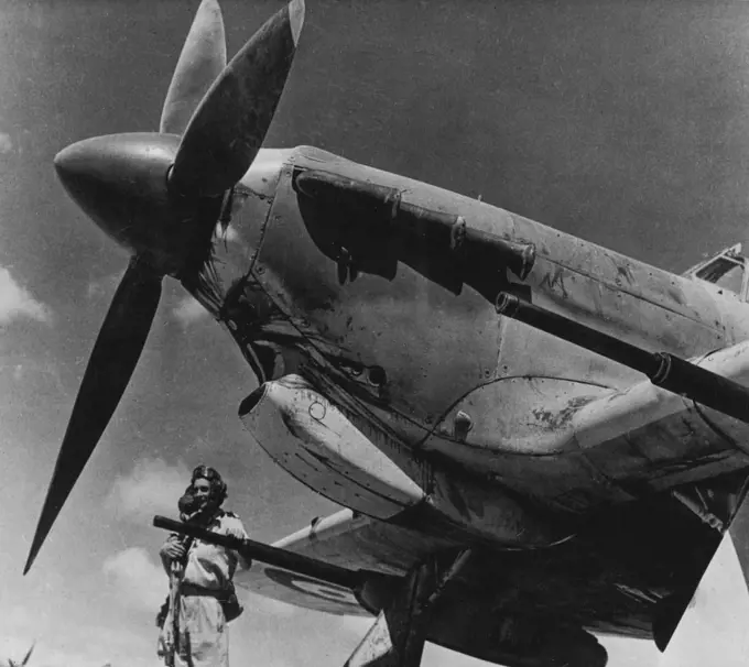 R.A.F. "Tin Openers" In Middle East -- This is one of the first photographs released of the R.A.F' s. new Tank Buster a Hawker Hurricane 11D fighter - fitted with heavy calibre guns, designed primarily for attacking armoured vehicles. The Hurricane 11D carries tow 40-millimetre guns, one being fitted under each wing. They are capable of either automatic or single shot fire, have been specially designed for mounting on aircraft, and the weight of each is only 320 lb. June 3, 1943. (Photo by Depar