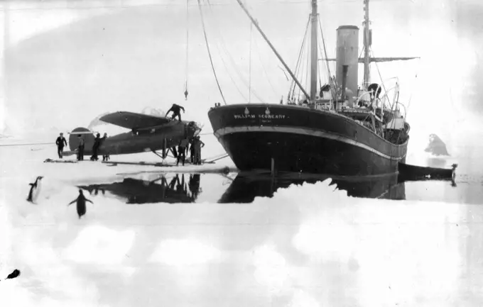 Captain Sir Hubert Wilkins stirring camera record of the second Hearst-Wilkins Antarctic Expedition. These exclusive pictures taken by Captain Sir Hubert Wilkins from an inspiring photographic record of the second Hearst-Wilkins Antarctic Expedition, revealing more of the icy secrets of that vast, mysterious and almost inaccessible polar continent. The base for the expedition was established at deception Island, an old whaling observations and taking pictures. The other members of the expedition