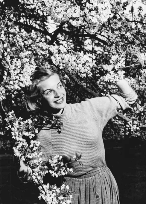 Summers here - Ann Summers, 24, of Chelsea, London. And when Summers met Summer met summer among the blossoming cherry trees at Lady Orchard, near Chipperfield (Herts), this fun-in-the-sun picture was the result. May 11, 1954. (Photo by Daily Mirror)