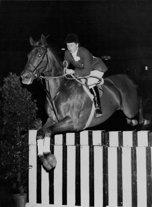 Well Clear -- Miss Pat Smythe, the popular international show jumper, takes "Prince Hal" over the sleepers during yesterday's jumping at the horse of the year show at Harringay. Pat finished second on Prince Hal in the "Horse of the year" competition, won by Mr. Ted Williams on "Sunday Morning". October 07, 1955. (Photo by Paul Popper Ltd.).