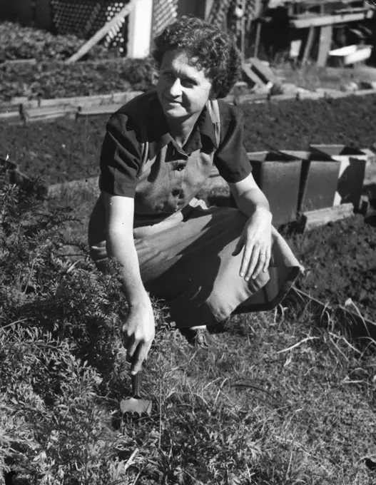 Gardener. May 03, 1950.