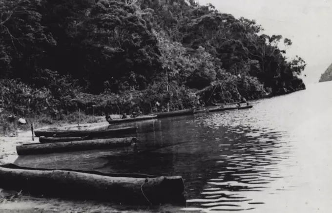 Near the settlement of Anarotali on the Jawe River. The Jawe finds its outlet in the Strait of Sele, which separates the island of Salawati from the extreme west Netherlands New Guinea. June 9, 1955.