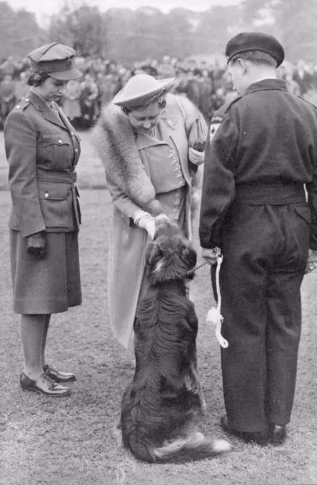 King Thanks Civil Defense Forces -- Her Majesty petting "Peter", a collie member of the famous dog rescue squad which Figured in V-Bomb Incidents, during the parade, watched by Princess Elizabeth. The King, Accompanied by the Queen and Princess Elizabeth, attended a farewell parade of Civil Defence and Allied services in Hyde park today June 10. Representatives contingents from all parts of great Britain and Northern Ireland took part. July 02, 1945. (Photo by Associated Press Photo).