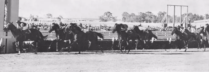 Finish - San Domenico running June handicap, 5th race at Eagle Farm course. June 14, 1949.