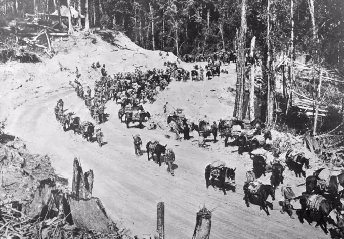 Moving To The Front Over Newly Completed Part Of Ledo Road -- Carrying their supplies by mule train, Chinese and American troops of U.S. General Joseph W. Stilwell's north Burma forces move slowly to the front along a newly completed part of the Ledo Road. Some of the troops and mules are resting beside a turn (right) before Continuing their gruelihg uphill journey U.S. Army engineers revealed on Sept. 25, 1944, that this vital supply link had reached dirt track "feeder" roads to China's southwestern Yunnan Province, The highway was begun in December, 1942, after the Japanese had cut the old Burma Road and blockaded all land routes to China. November 15, 1944. (Photo by U.S. Office of War Information Picture).