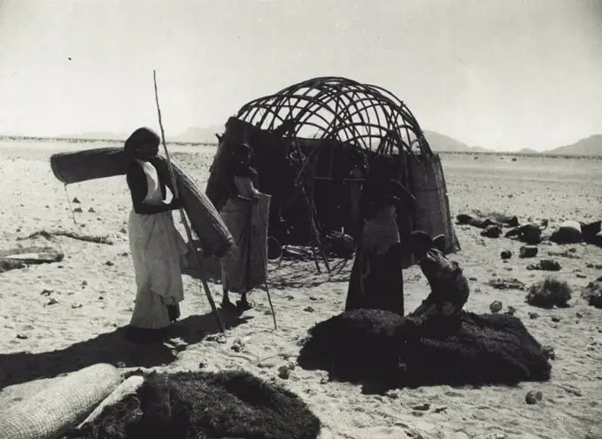 They Carry Their Home With Them -- Somali women, after a two day's trek from the mountains to sell camels milk in Berbera market, erect their Gurgi (native hut) on the beach. April 13, 1936. (Photo by Daily Mirror).