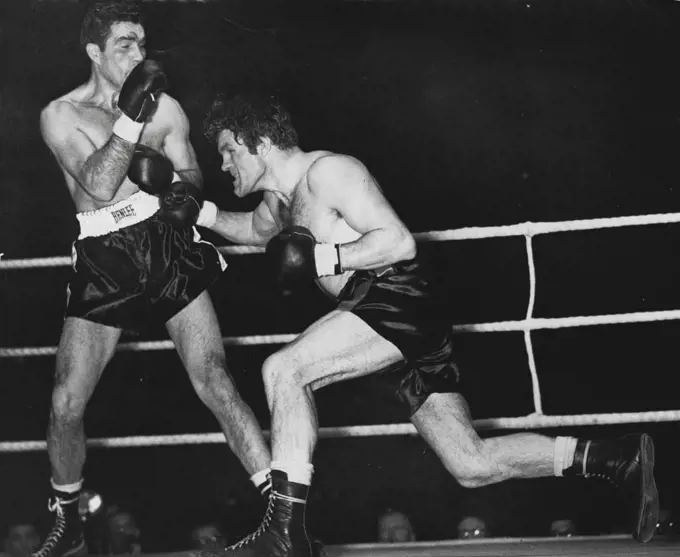 Freddie Mills V Joey Maxim...World light heavy-weight title fight at earls court tonight. Round 9, of the Big Fight. It is nearly the end but there is no sign of weakness in Mills as he throws a right to Maxim's stomach, while the American blocks. January 24, 1950. (Photo by Paul Popper Ltd.).