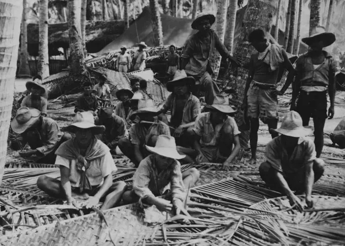 Weaving Material For New Barracks -- These Filipinos are ***** at a labor camp west of Pinamopoan, Leyte Island, in weaving material for a new thatch-roof barracks in the area. Palm fronds are being cleverly interlaced in the process, making a comparatively durable material through which air may circulate to improve living conditions in the humid climate. This matting normally covers only half the walls, the upper half being left open or screened in -- if there is any screening available. It is said that these structures, made wholly of vegetation from the jungles, will last native people for at least three years but stand up for white men only about 18 months against the onslaughts of heavy rains and wind and of fungi and wood-devouring insect life.  January 23, 1945. (Photo by U.S. Army Signal Corps Photo).