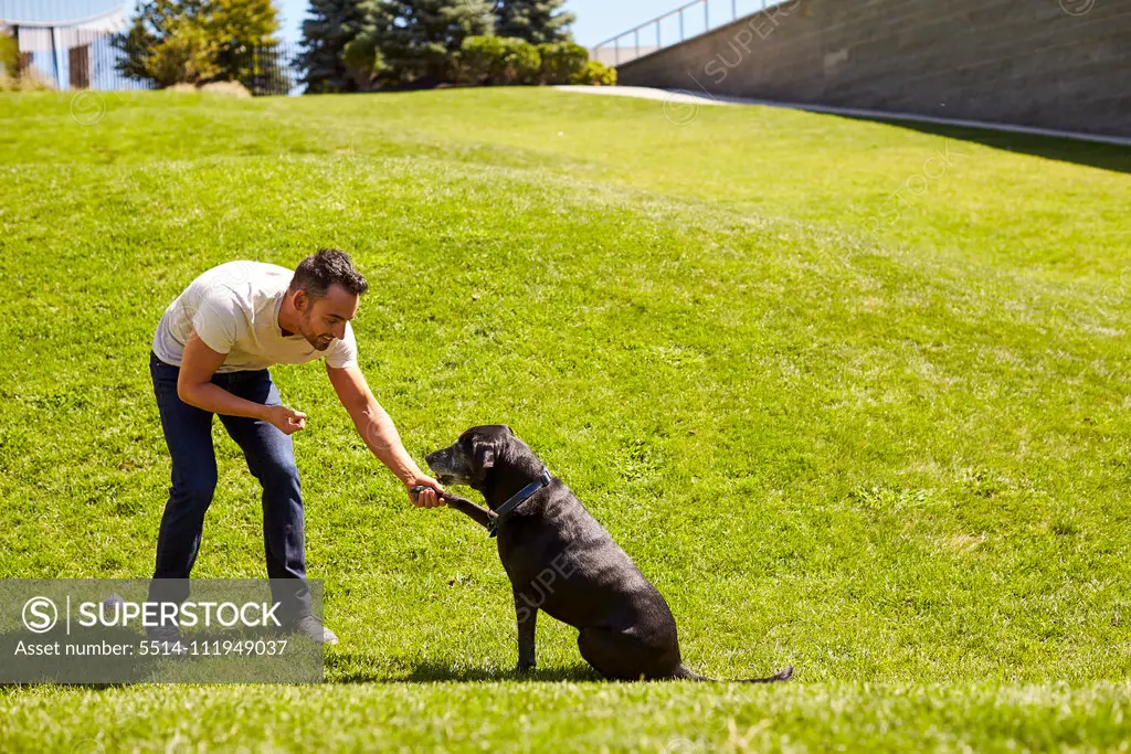 A man shaking hands with his dog.