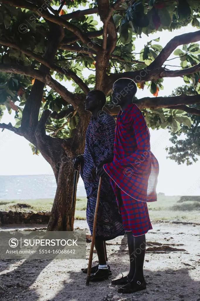 Two masai men in traditional clothes standing under big mkungu tree