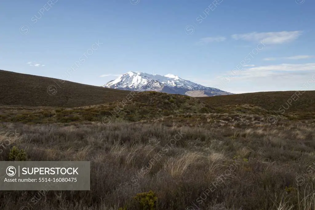 Snowed mountain and volcanic meadow under a blue sky, Tongariro