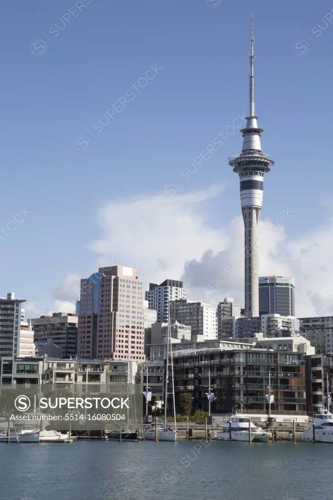 Sky tower and Auckland's skyline viewed from Marina during a sunny day