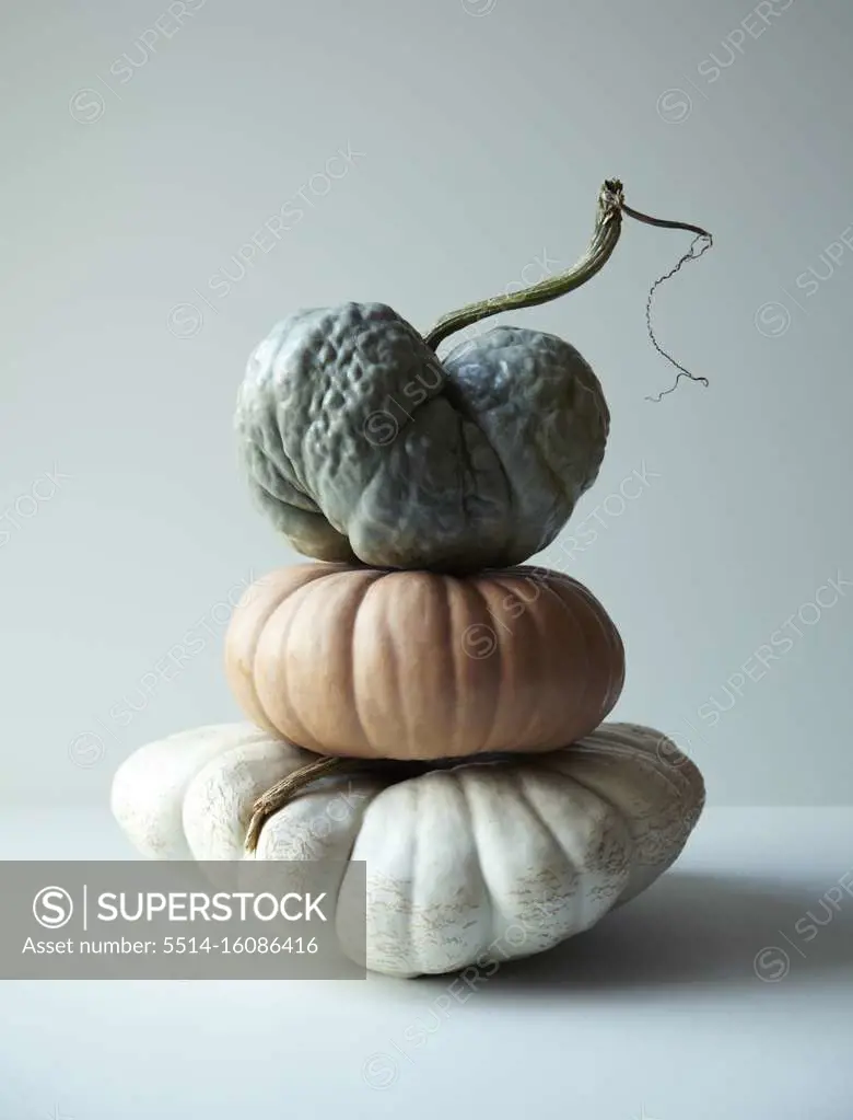 Stack of Pumpkin and Gourds