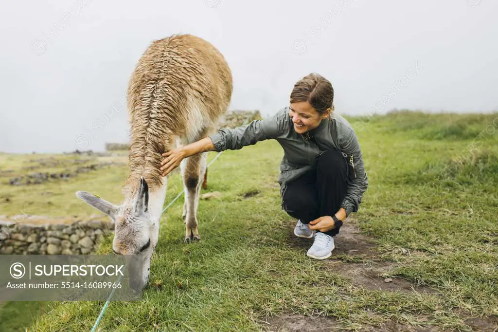 A young woman is sitting near a llama,  Machu Picchu, Peru