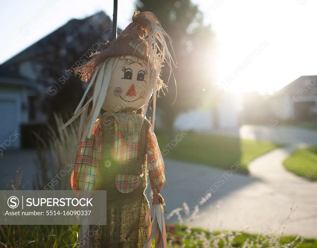 Scarecrow decor in autumn light outdoors