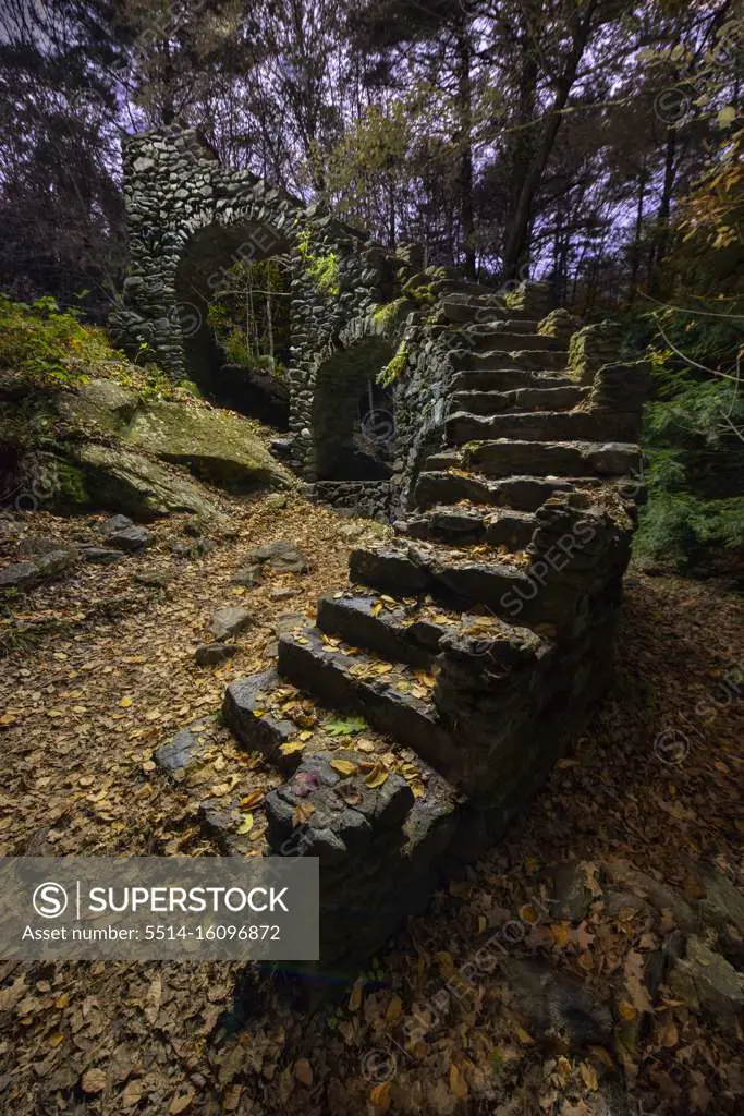 Stair of Abandoned Mansion in Woods in Autumn