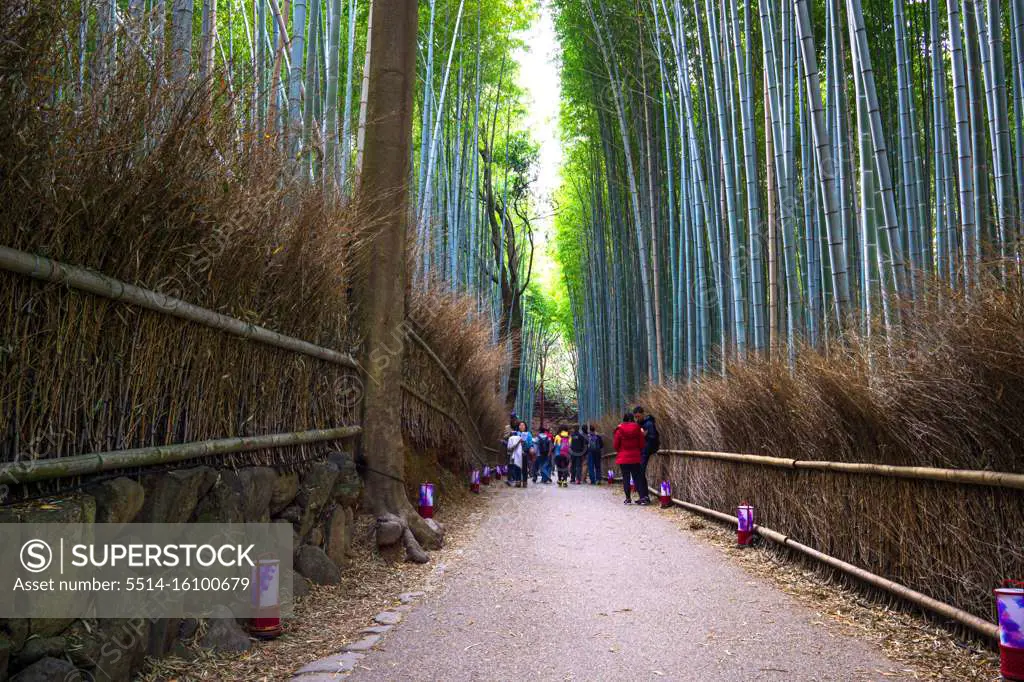 Arashiyama Bamboo Grove - District on the western out skirts of Kyoto, Japan