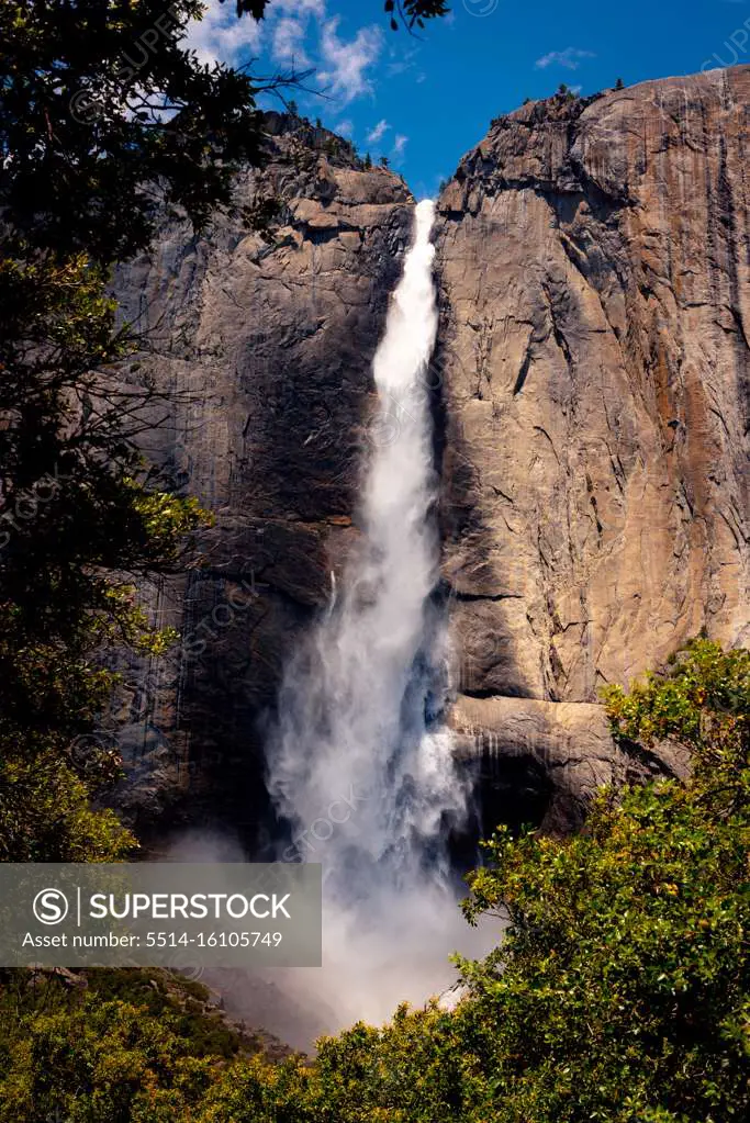 Yosemite Falls through the trees