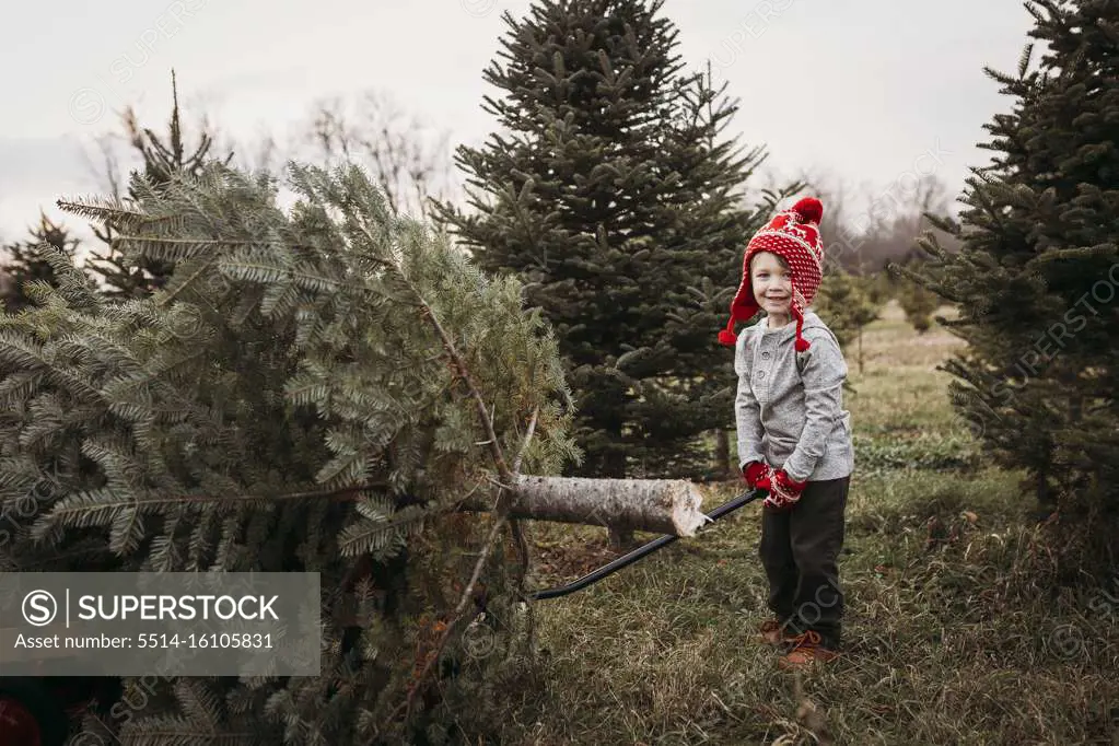 Boy pulling Christmas tree on wagon at tree farm