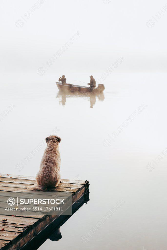 Two people in fishing boat in the fog with dog watching from the dock. -  SuperStock