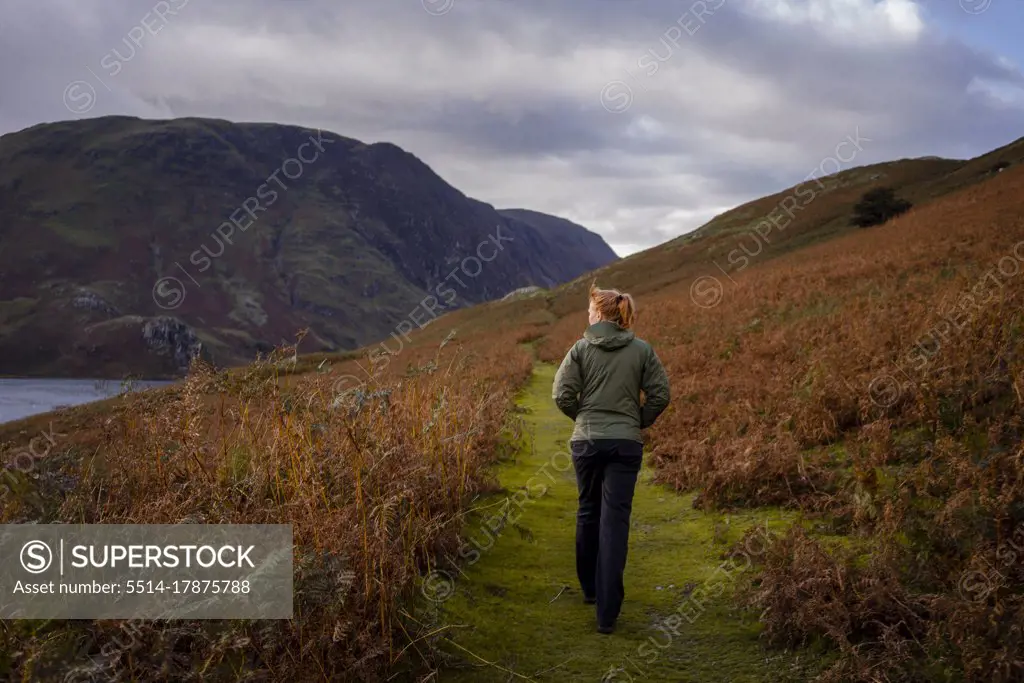 Woman walking on path surrounding by ferns in autumn, in the Lak