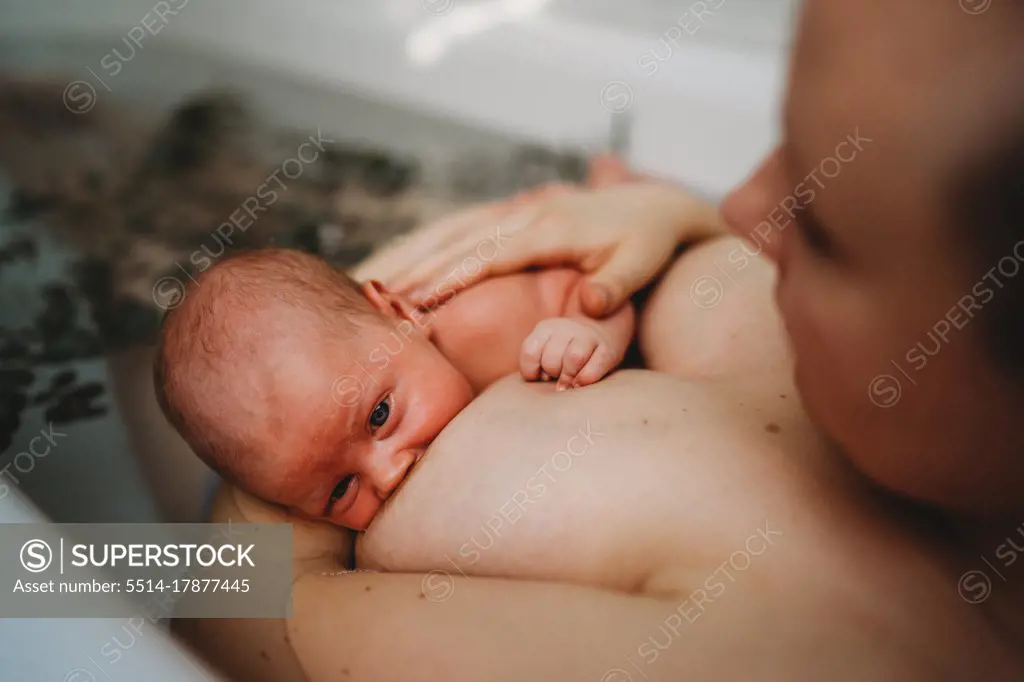 Newborn baby breastfeeding in bath tub while mom touches his back