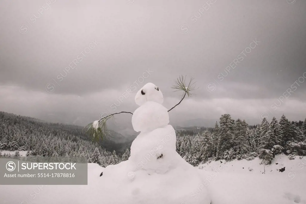 Snowman Dancing on a Scenic Overlook