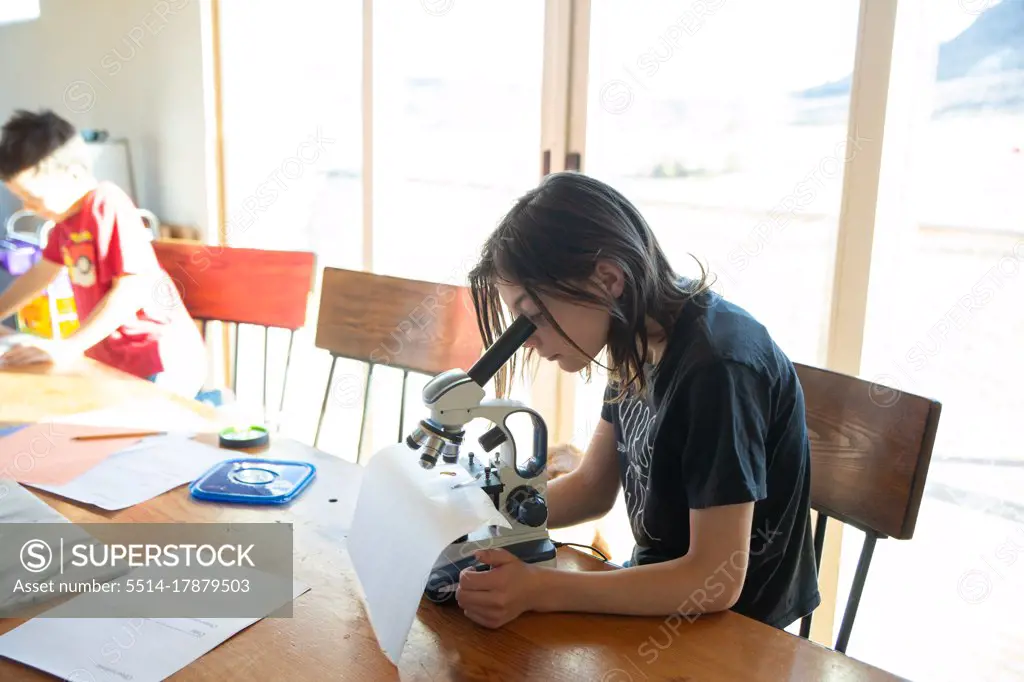 Girl examining mealworm under microscope