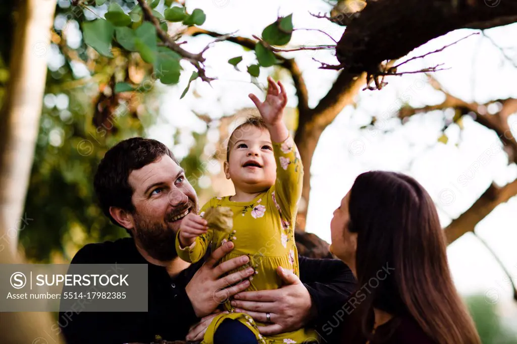 Parents Holding Young Daughter Sitting in Tree in San Diego