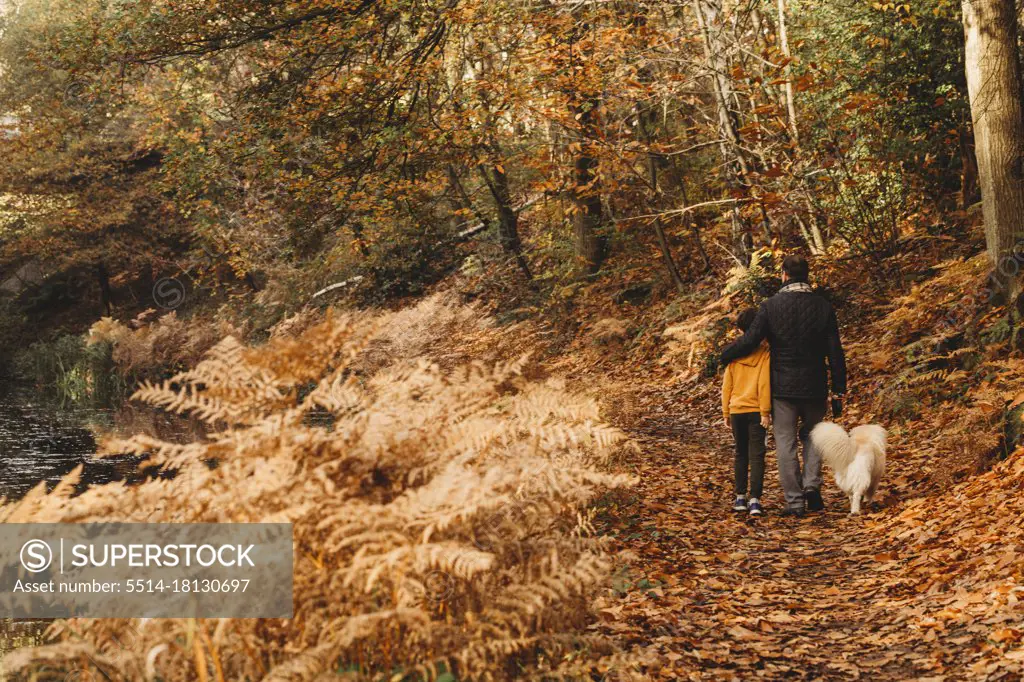 Rear view of father hugging son and dog walking on towpath in fall