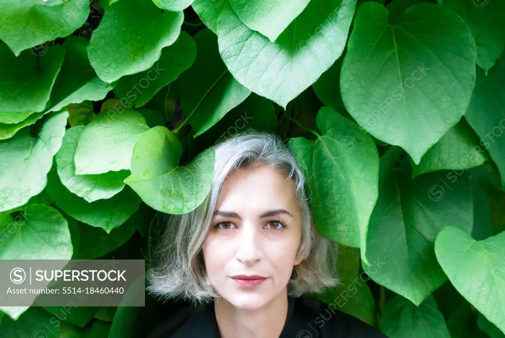 Close-up of the face of a gray-haired woman against the large foliage