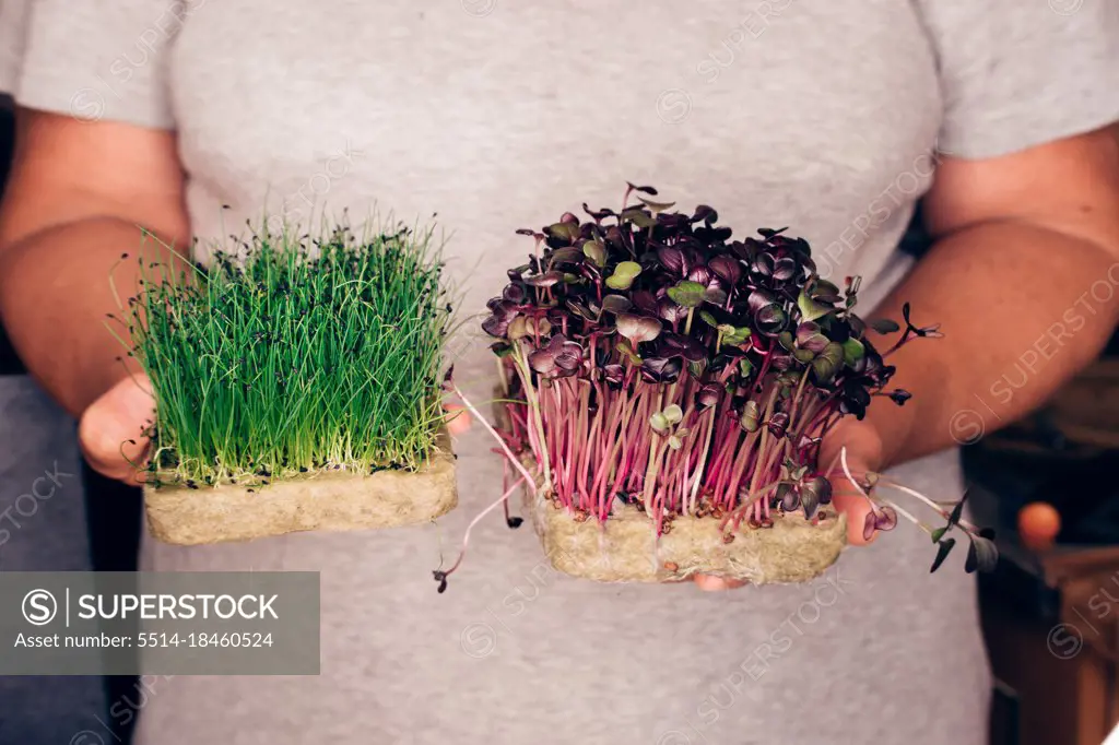 Freshness leek, Colour Cress in the hands