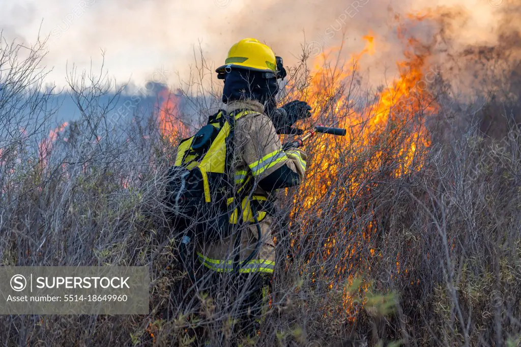 firefighters putting out forest fire