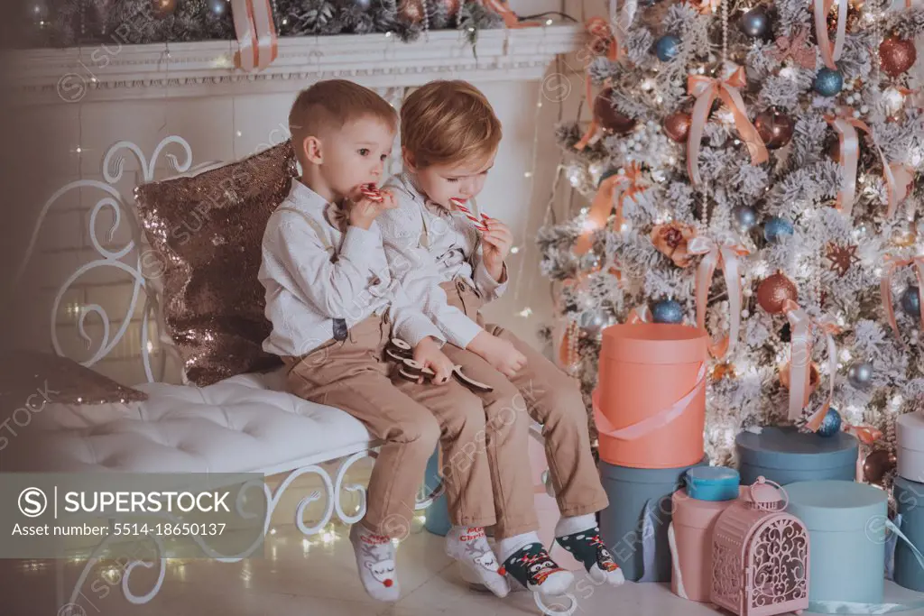 Cheerful cute children boys opening gifts under christmas tree.