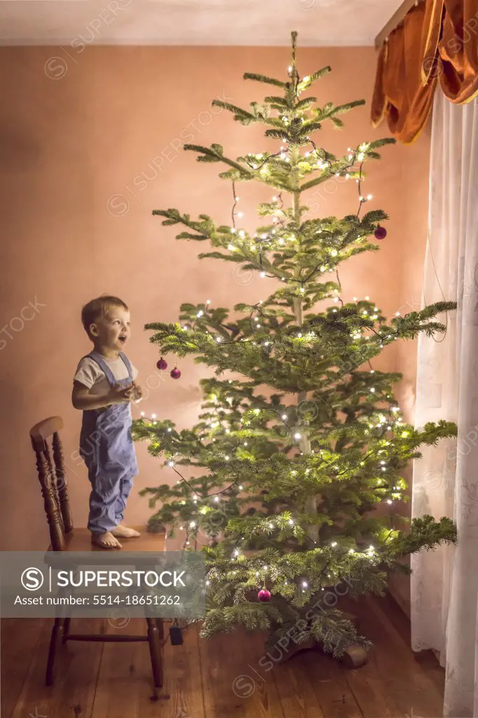 little boy in awe looking at christmas tree for the first time